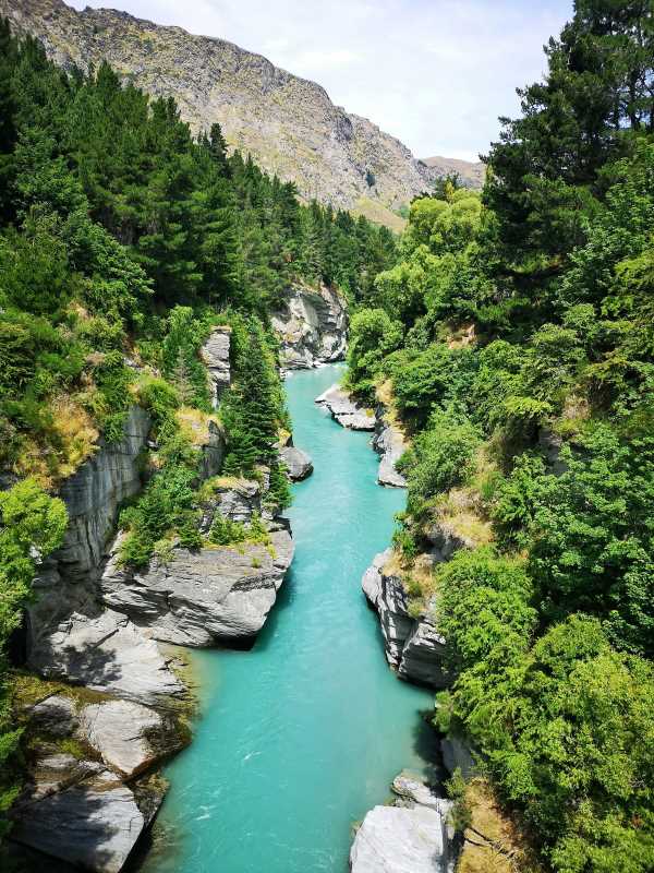 river between green trees and hill