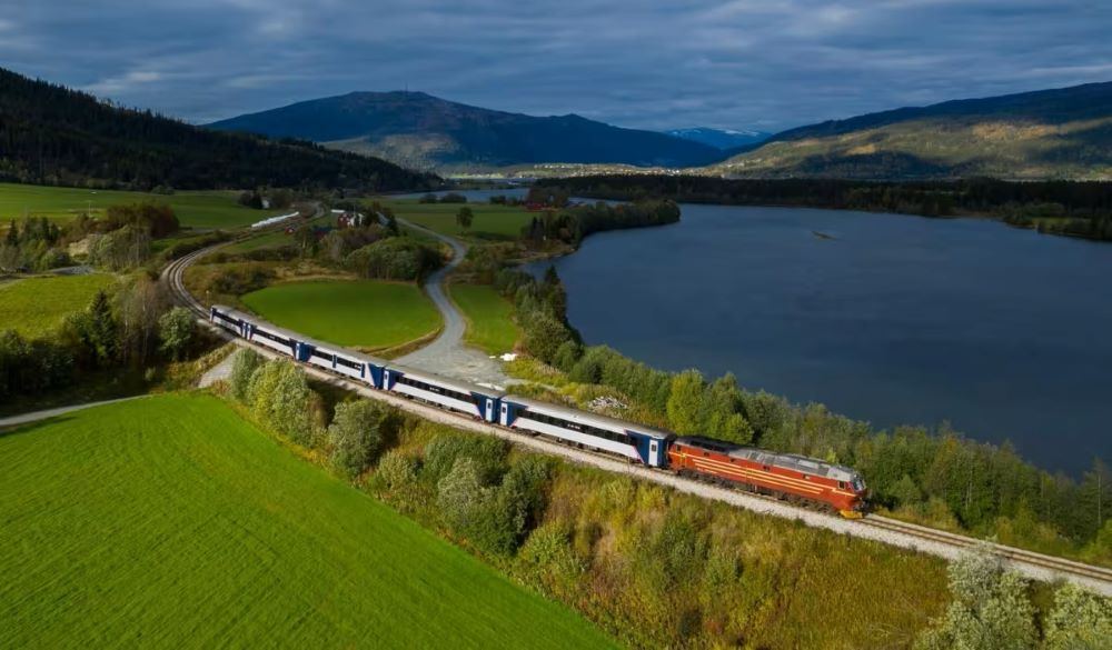 aerial view  of train passing by in between green fields and body of water