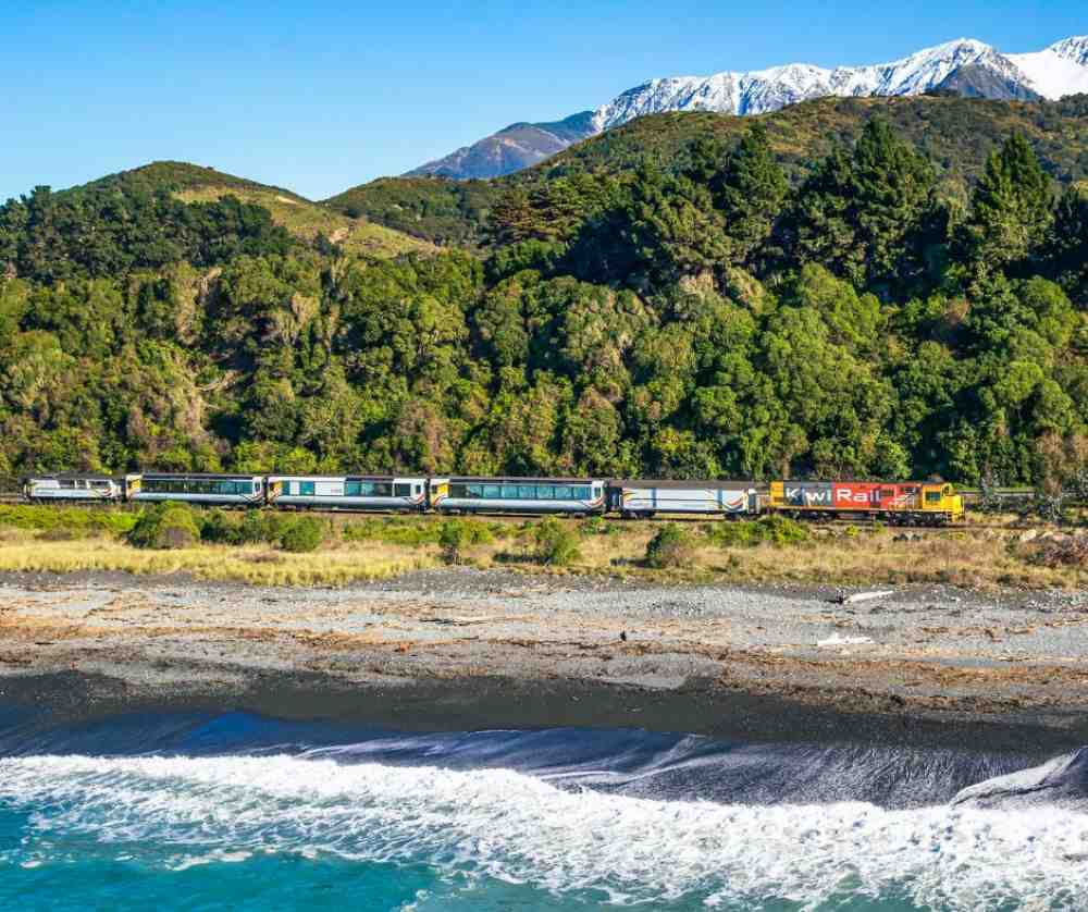 train in between the ocean and forest