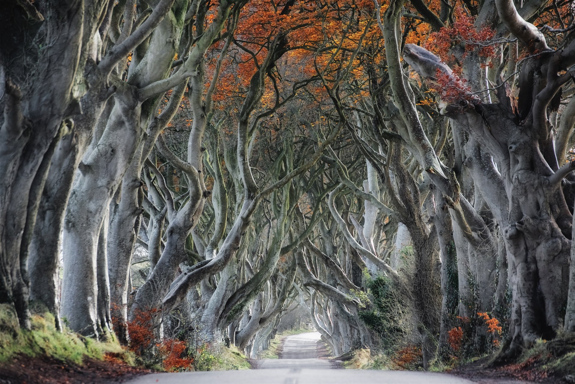 northern-ireland-3