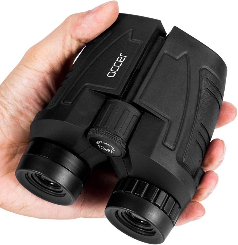 hand holding small or compact binoculars - best travel accessories