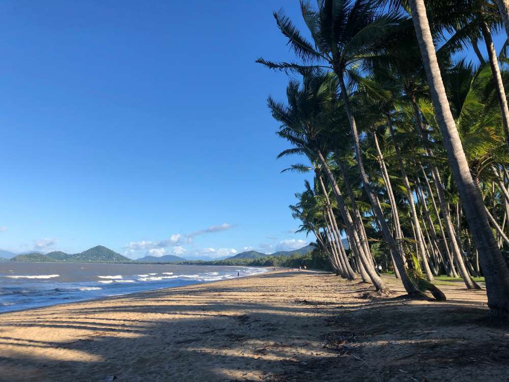 palm trees line up near the ocean - Best Beaches in Australia