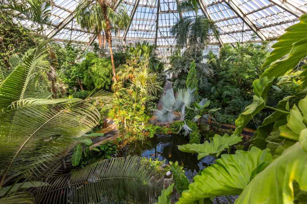 wide variety of plants, including tropical species housed inside a massive greenhouse - Things to do in Nice, France