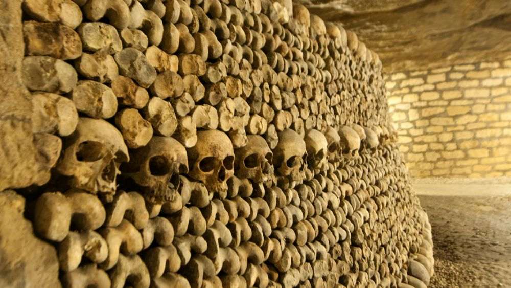 wall with skulls - Underground Attractions