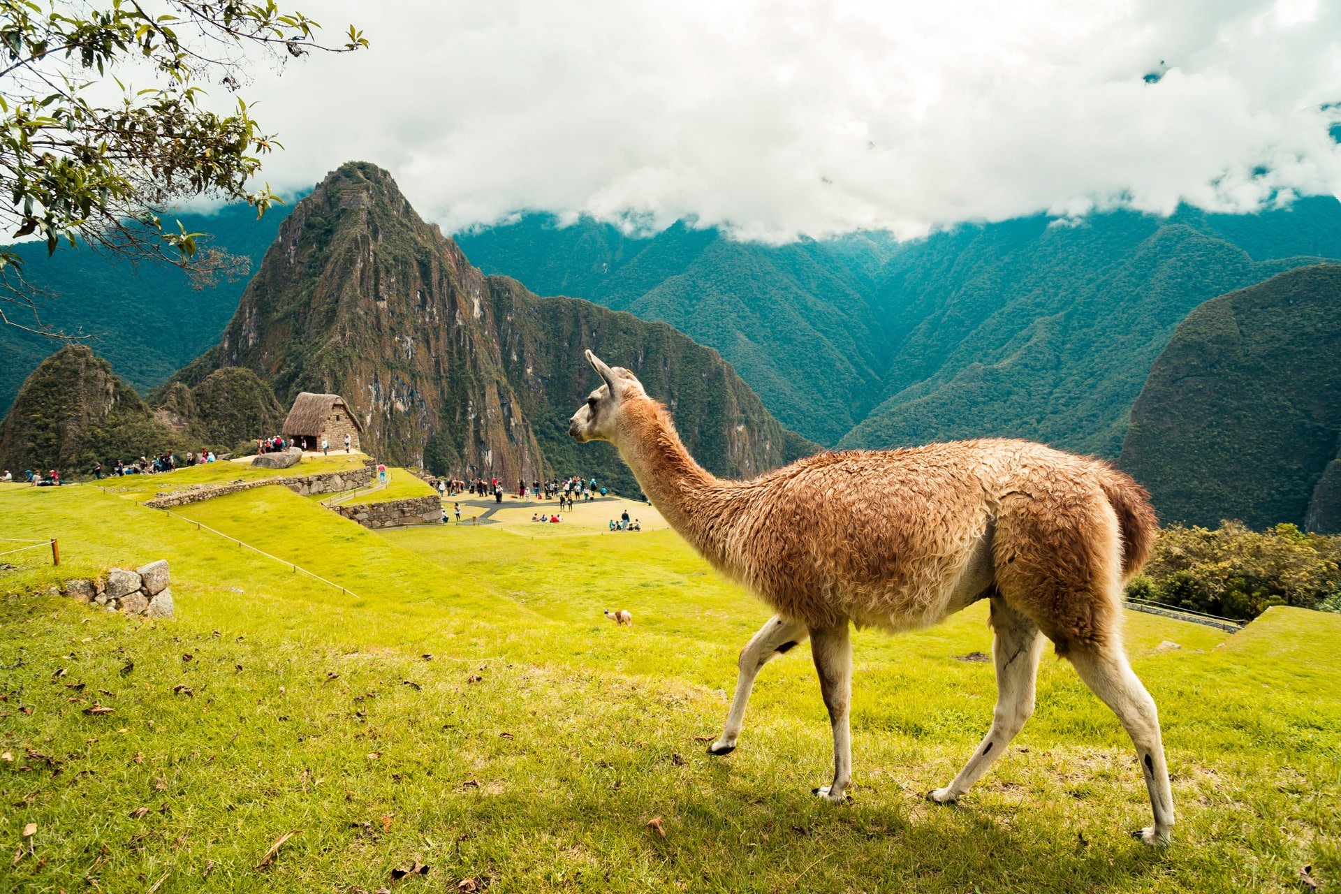 Global Destination Reviews: Peru Travel Guide