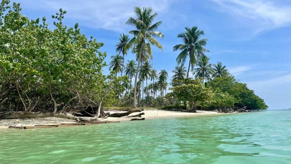 island full of coconut trees surrounded by green body of water-best places to visit in thailand