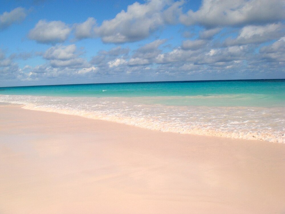 Pink Sands and greenish Beach