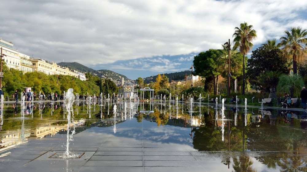 image of park surrounded by green trees and fountain in the middle