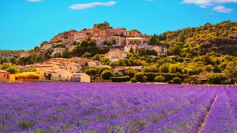 lavender fields on the back is a city on top of a green hill surrounded by green trees and plants- Best Time to Visit France