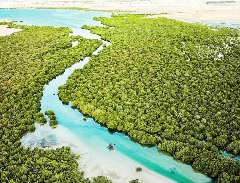 aerial view of Purple Island Mangroves - Things to Do in Doha