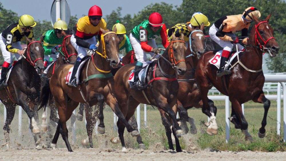 group of men riding horse and racing- Things to Do in Doha