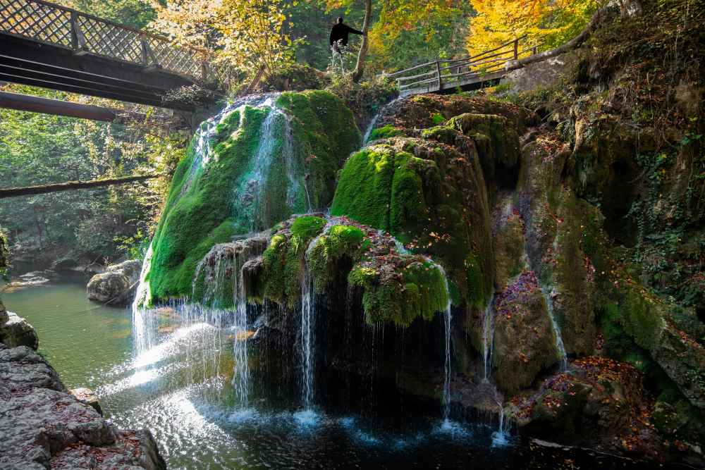 wooden bridge with stone full of green molds near water
