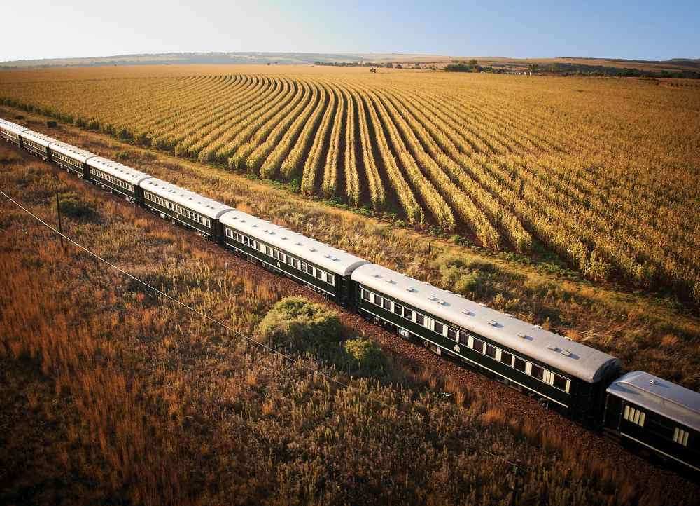 long train in the middle of the field