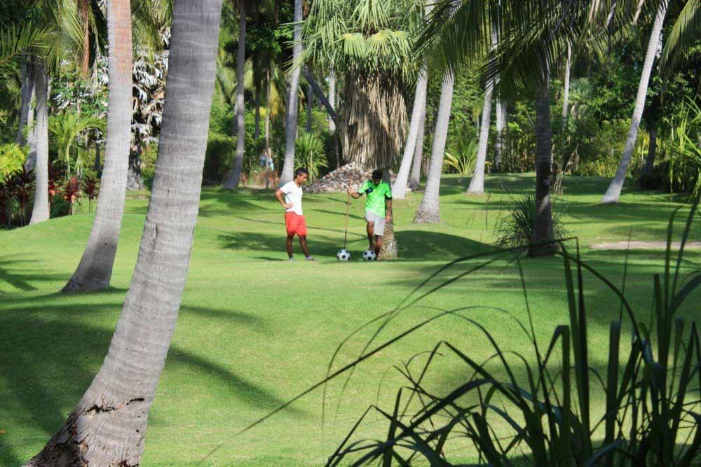 2 men playing with 2 soccer ball in a green grass ground and surrounded of coconut trees