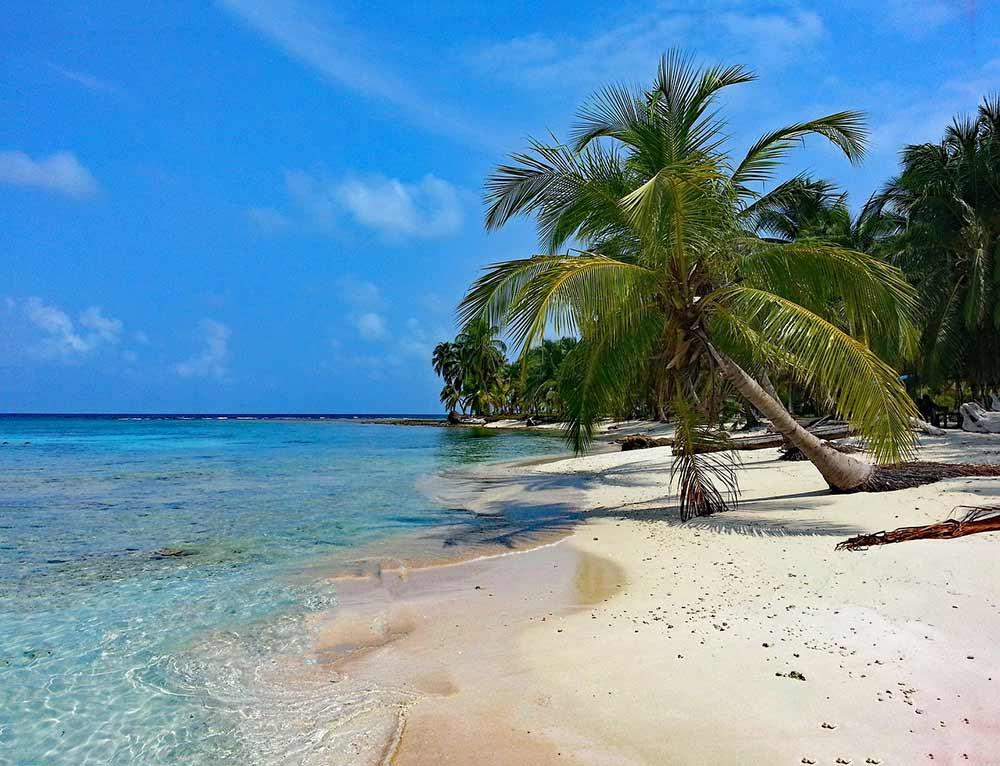 calm beach and white sand with coconut tree at the seaside