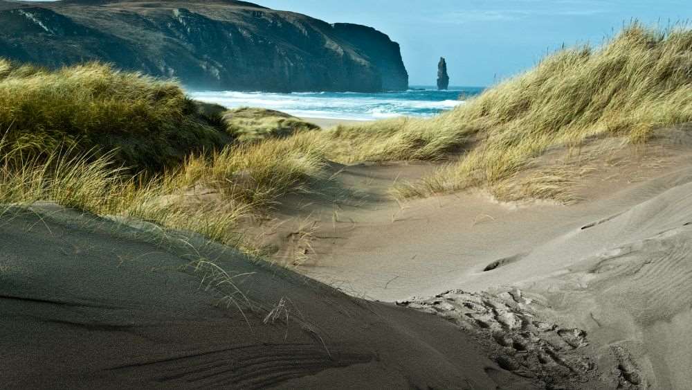 sand beside the body of water