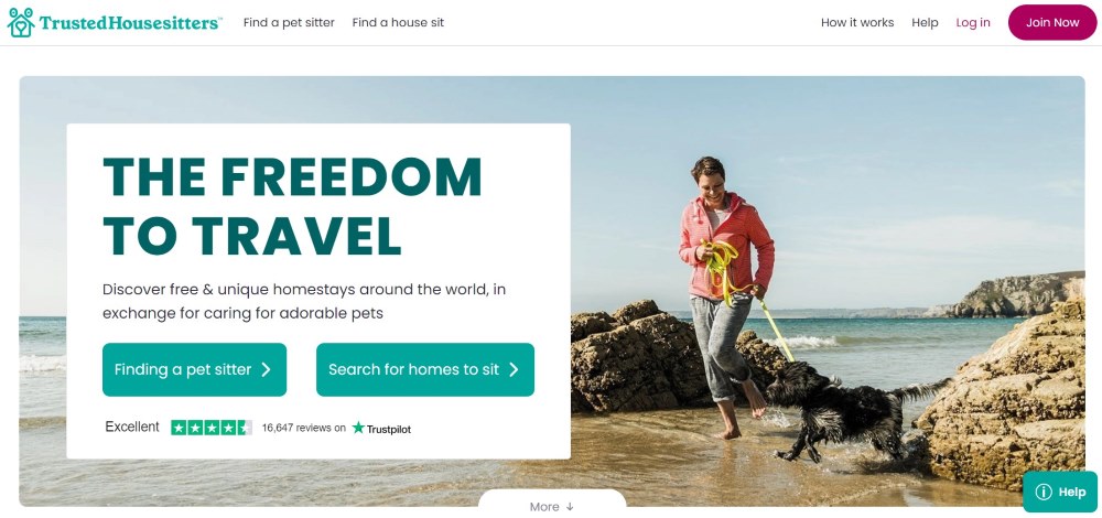 screenshot of trustedhousesitters landing page