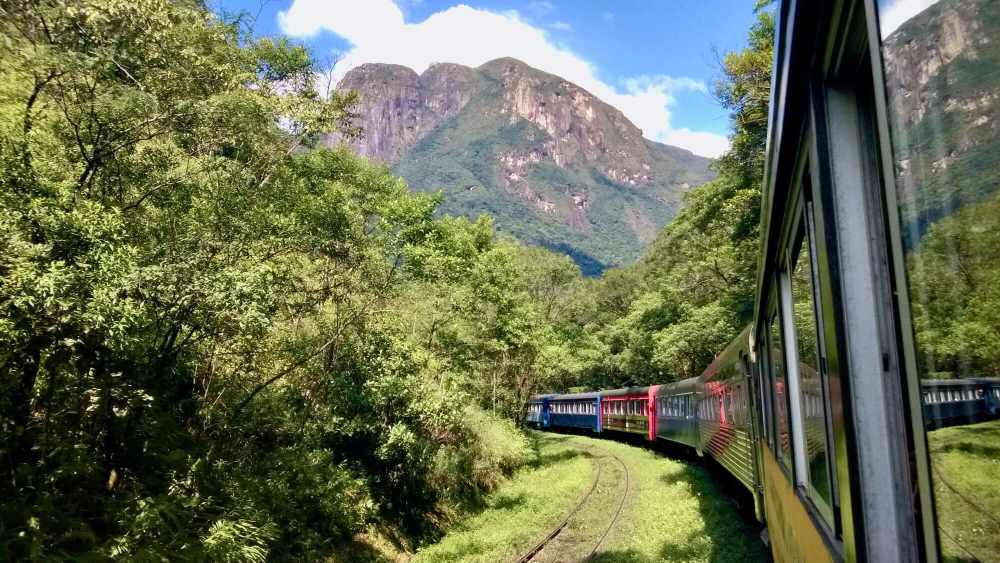 colorful train making its way through lush, dense vegetation typical of the Atlantic rainforest.