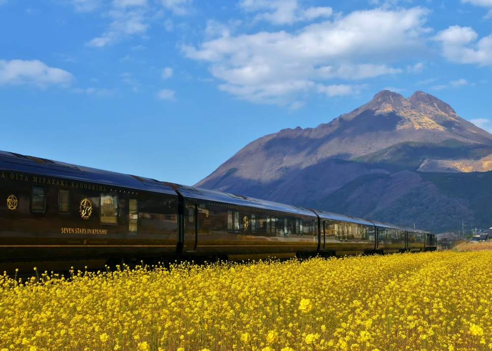 train beside yellow flowers and mountain at the back