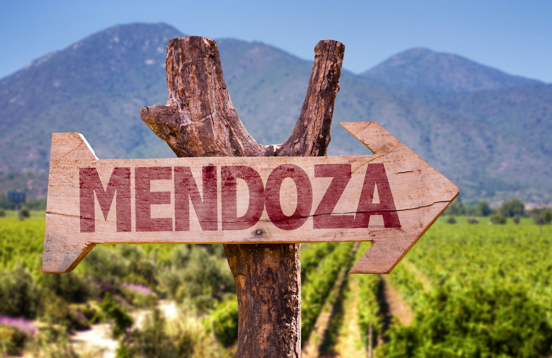 Insider South America Series, Chapter 7: Mendoza, Argentina