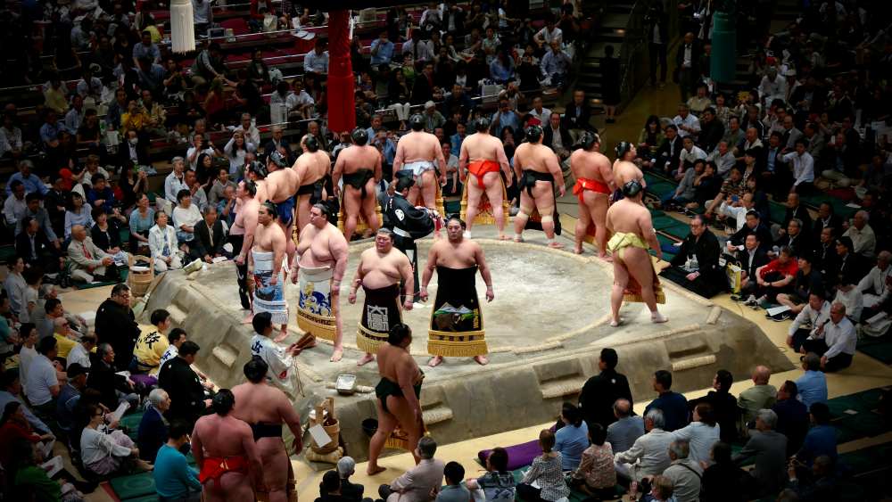 sumo wrestle in circle facing the audience
