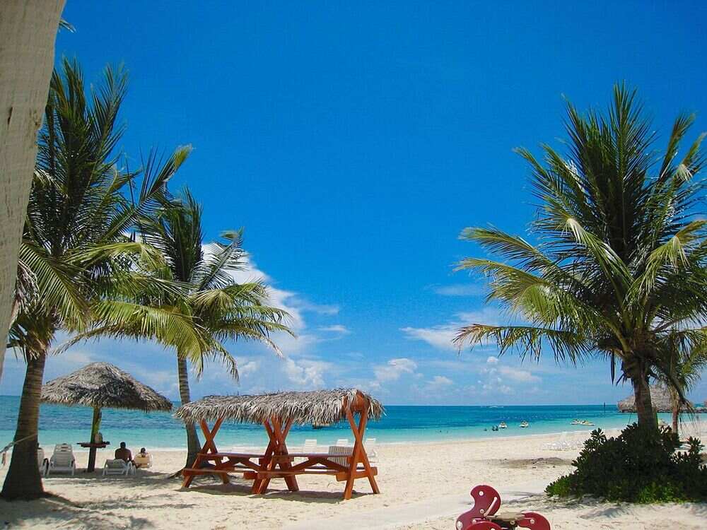 Nipahuts with bench with coconut trees at the Taino Beach