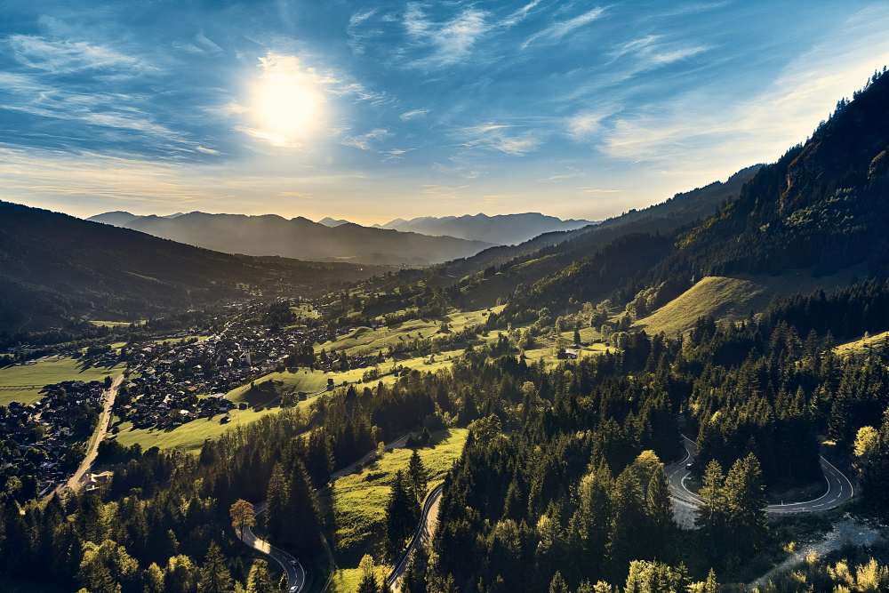 aerial view of road in between trees