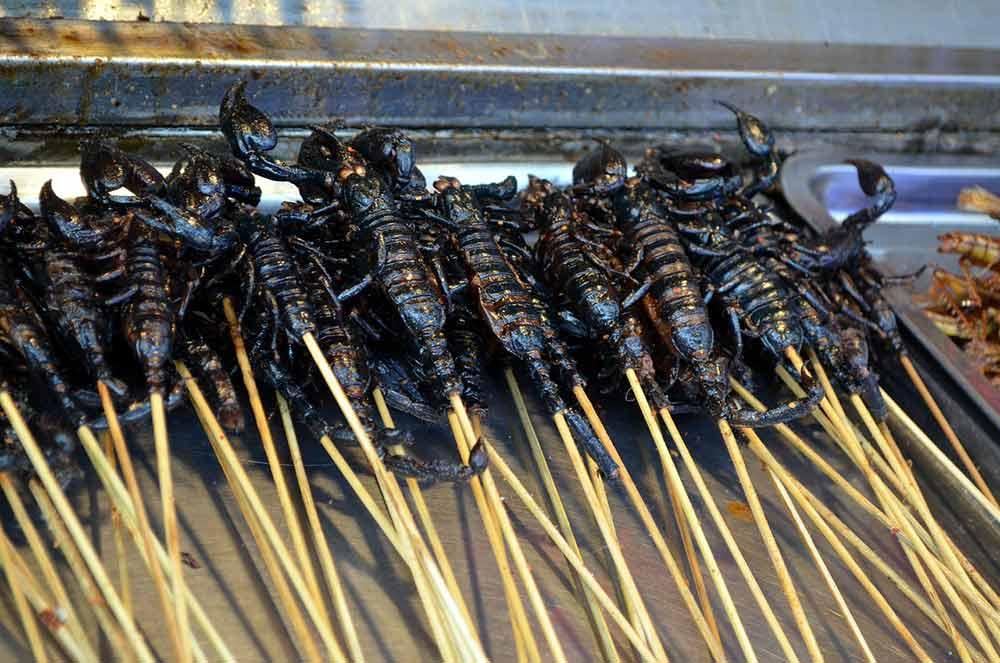 scorpions skewered on a stick
