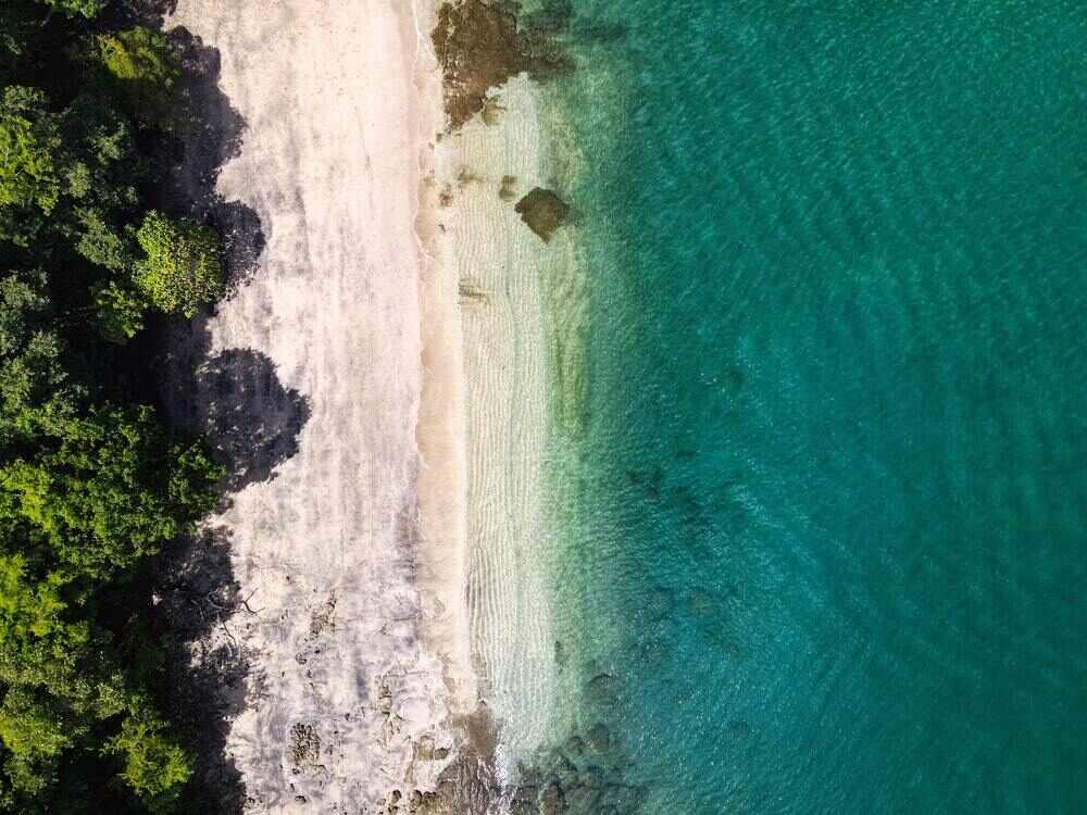 aerial view of a stunning green ocean beside the green trees