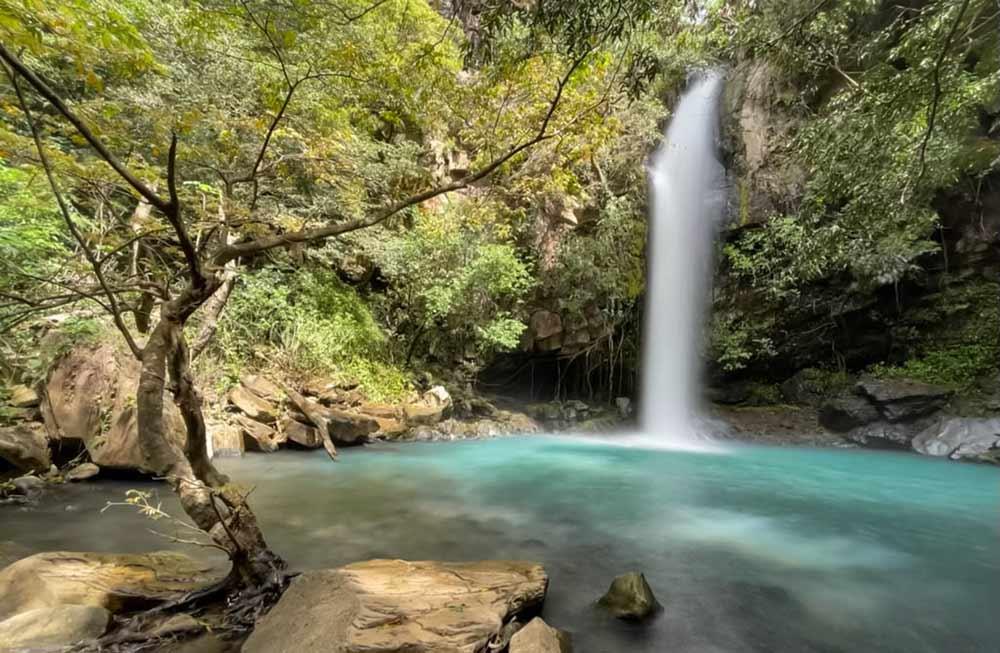 clear green waterfalls in the middle of the forest