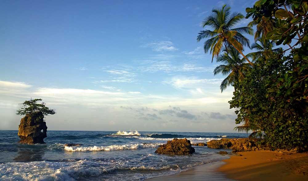 Small waves on the beach with rocks and trees on the shore