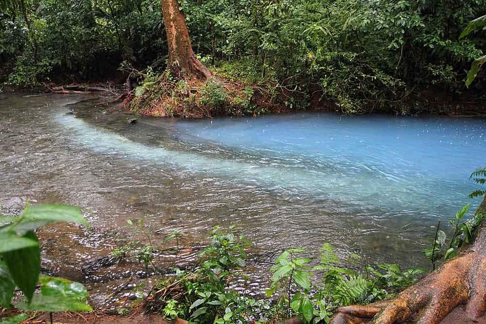 Stunning blue river surrounded by trees