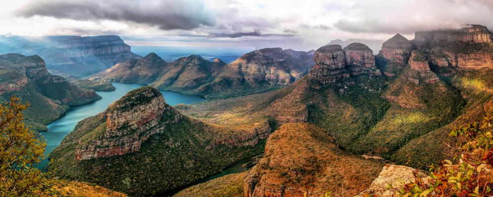 mountain cover with trees near body of water