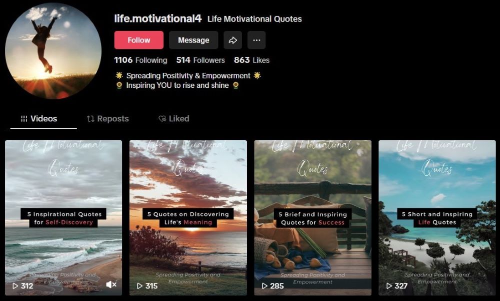 screenshot of tiktok account just posting motivational quotes - Fun Side Hustles for 50+ Nomadic Adventurers
