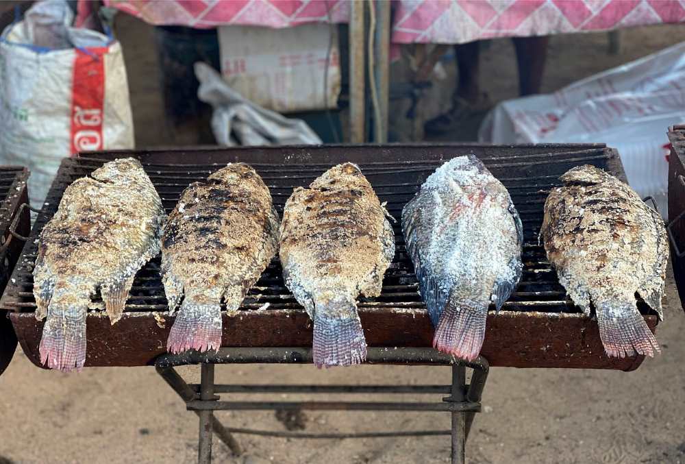big fishes filled with salt on top of a charcoal grill outdoor - best thai food in thailand