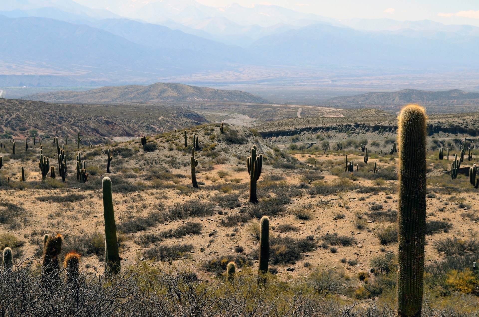 Insider South America Series, Chapter 8: What to Do in Salta, Argentina