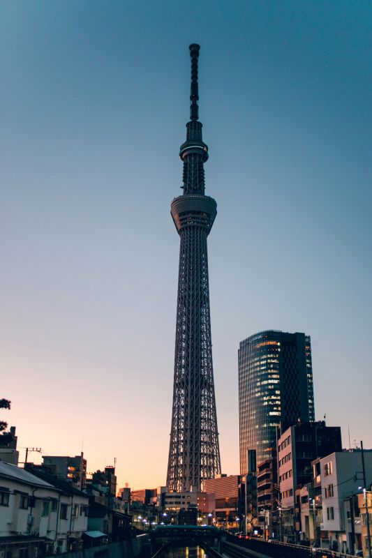 high rise tower in the middle of the city during dawn - best things to do in Tokyo