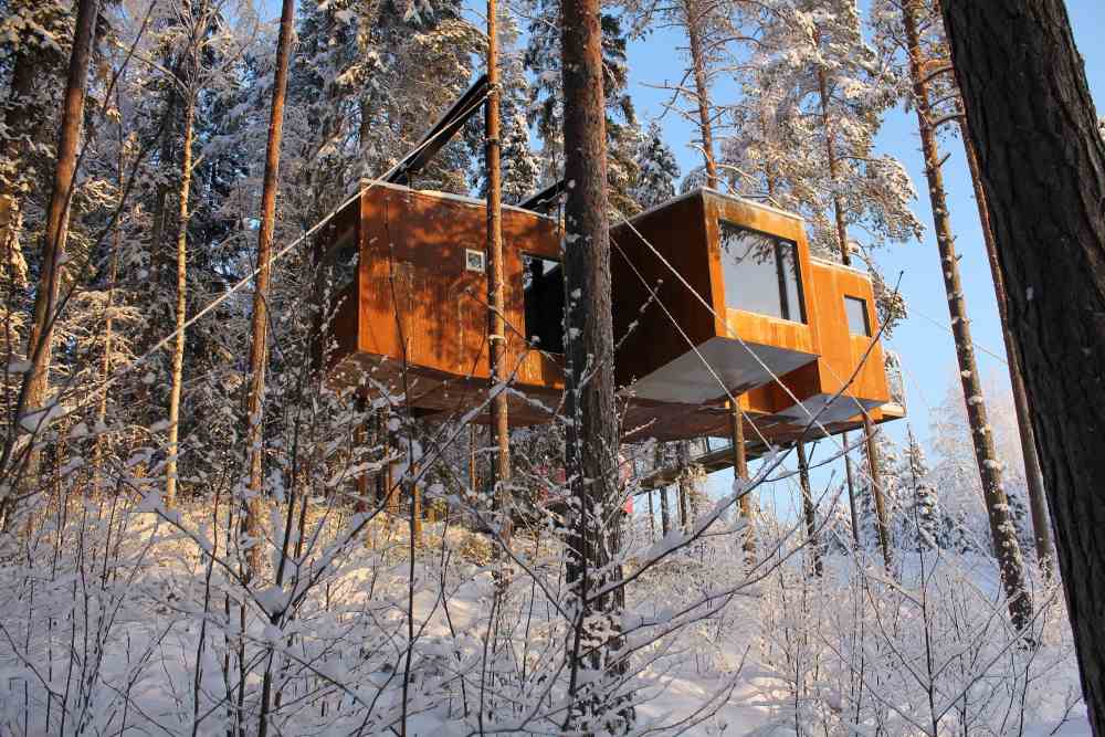 large glass windows on top of the tree - unique hotels in the world