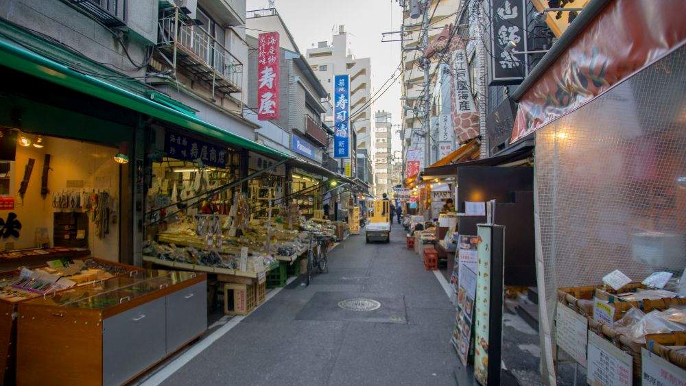alley side by side stall for fish market - best things to do in Tokyo