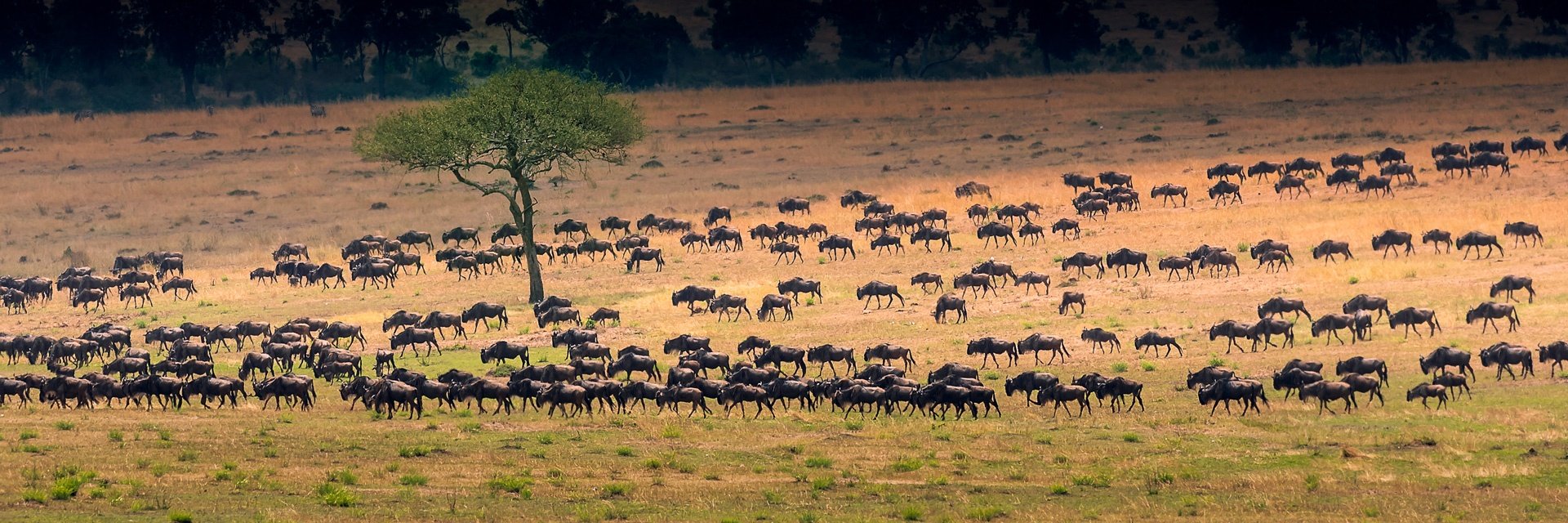 ultimate-tanzania-itinerary-2