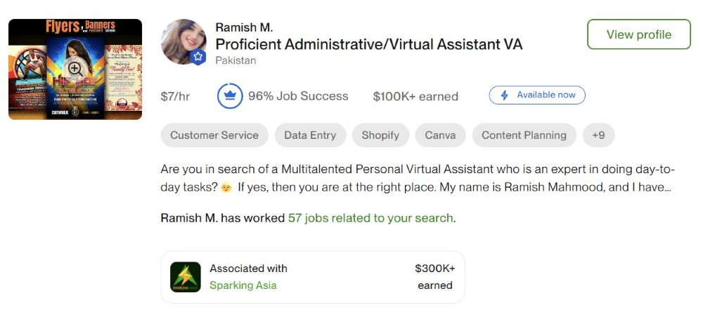 screenshot of sample Virtual Assistant Profile