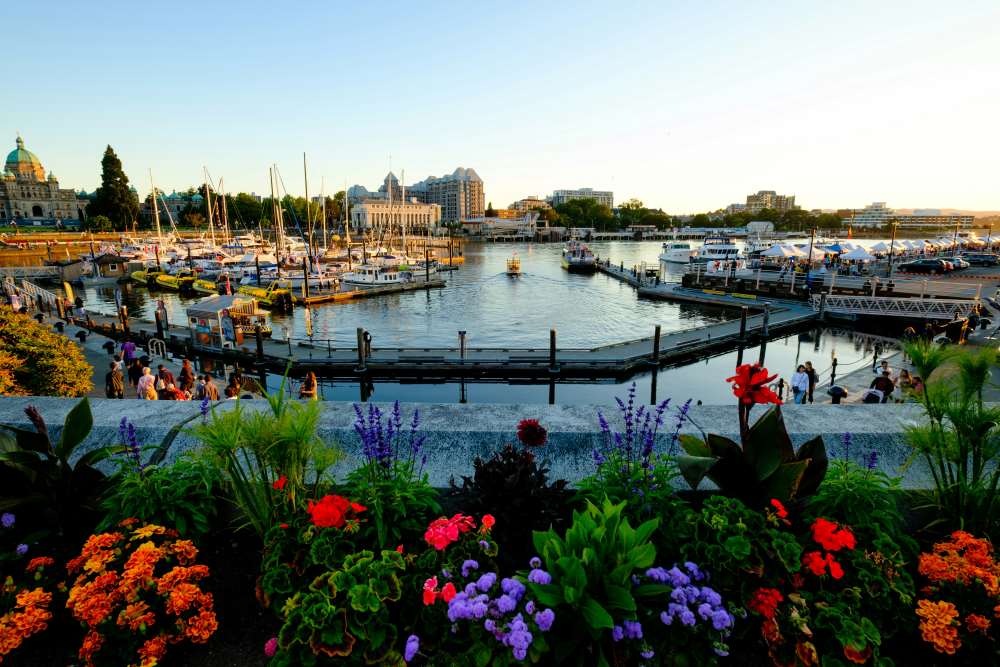 colorful flowers across the body of water with yatch and boats in it- canada digital nomad visa