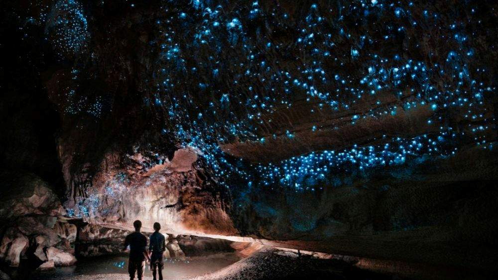 people inside the cave with bioluminescent glowworm on cave ceiling - Underground Attractions