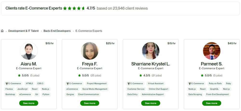 sample profiles of ecommerce experts