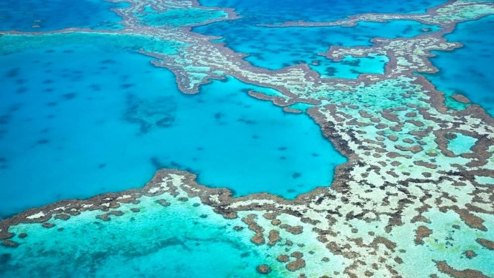 aerial view of the  Great Barrier Reef