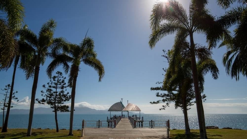 wood walk pier in front of the beach beside palm trees
