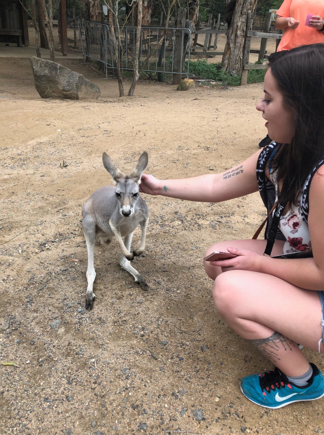 working-holiday-australia-8