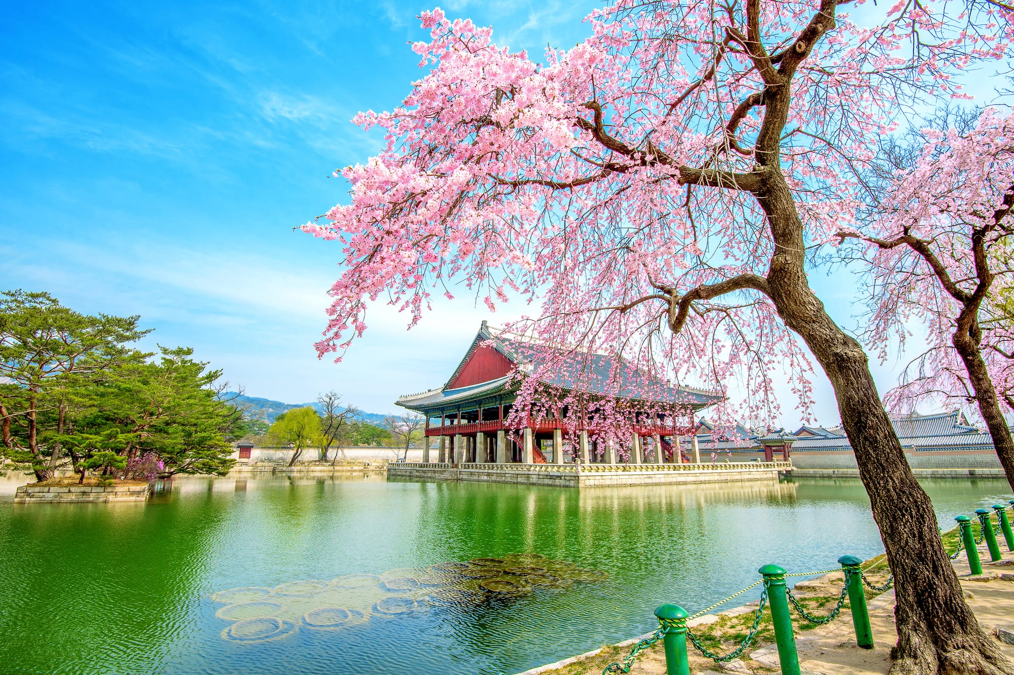 Korea’s Working Holiday Visa - The Complete Guide