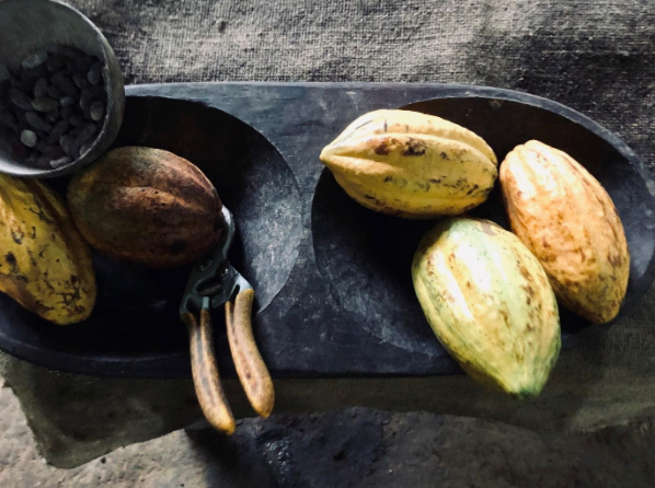 Costa Rica Cacao
